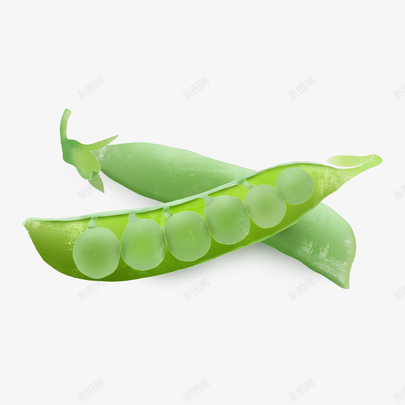 美味蔬菜豆角元素png免抠素材_88icon https://88icon.com 水果 番茄 蔬菜 豆角