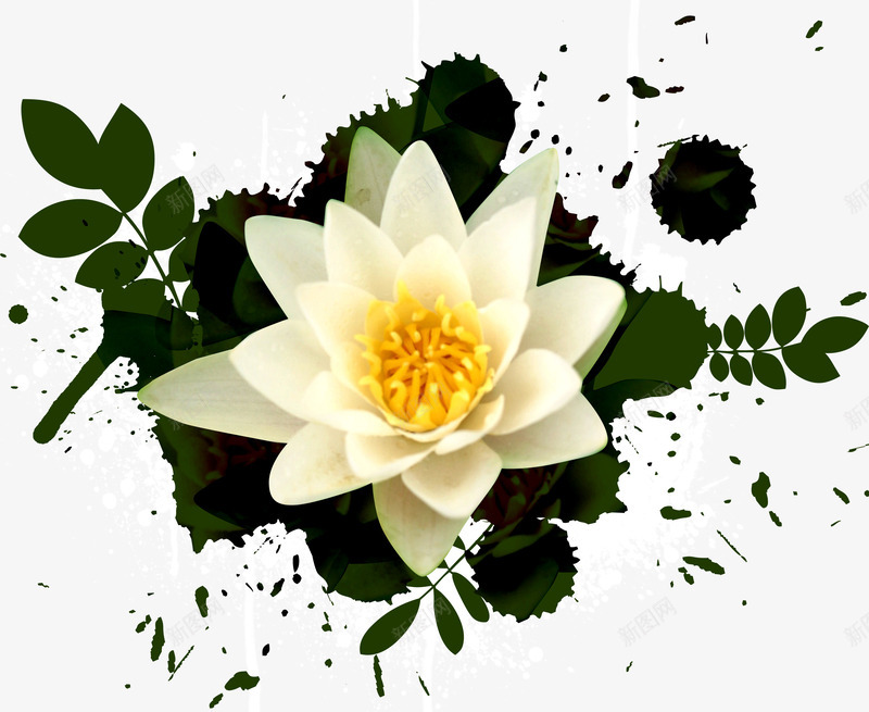 水墨喷溅睡莲背景png免抠素材_88icon https://88icon.com 喷溅 水墨 睡莲 素材 背景