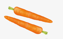 逼真蔬菜红色逼真蔬菜胡萝卜矢量图高清图片