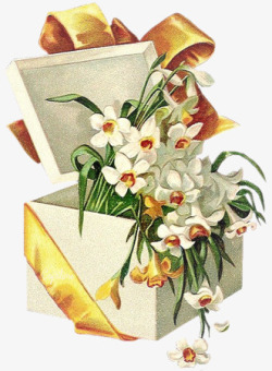 礼品盒白色花朵手绘素材