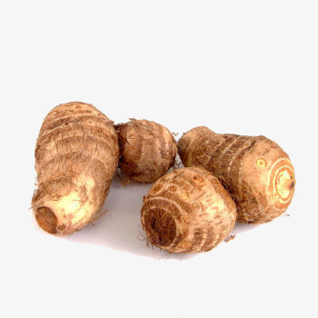 小毛芋头芋艿新鲜蔬菜香芋png免抠素材_88icon https://88icon.com 实物 小毛芋头 新鲜 新鲜蔬菜 芋头 芋艿 菜类图片 蔬菜 香芋 高清芋头图片