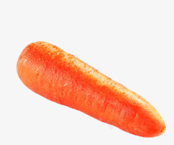 黄红色胡萝卜蔬菜素材