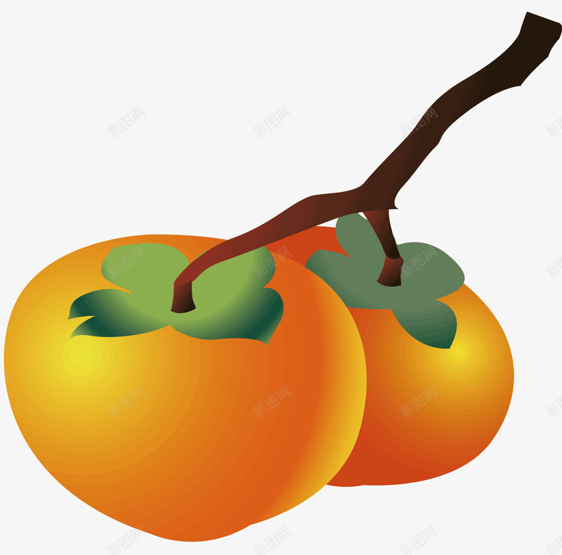 两个橘黄色的柿子矢量图ai免抠素材_88icon https://88icon.com 枝干 柿子 橘黄色的食物 水果 水果蔬菜 矢量图 绿色叶子 黄柿