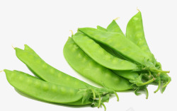 绿色食品扁豆蔬菜素材