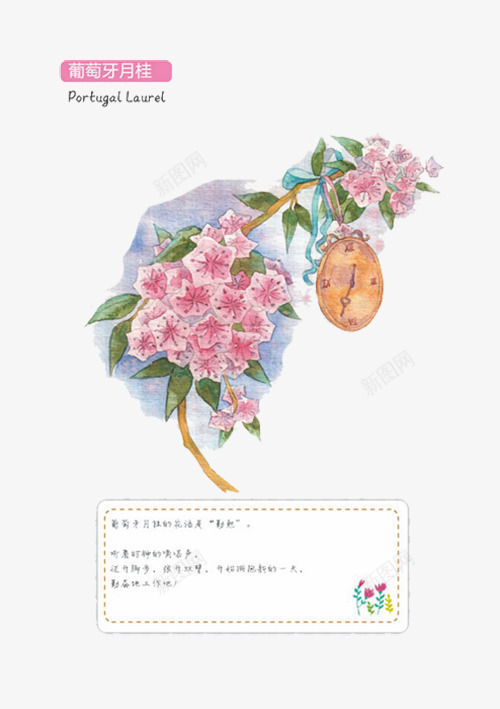 葡萄牙月桂png免抠素材_88icon https://88icon.com 粉色 绿叶 花朵 葡萄牙月桂