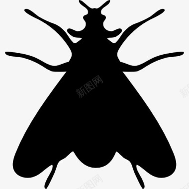 不规则形状蛾类昆虫的形状图标图标