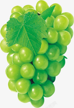 绿色新鲜水果葡萄素材