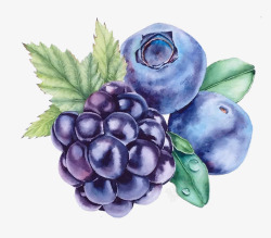 葡萄蓝莓水果素材