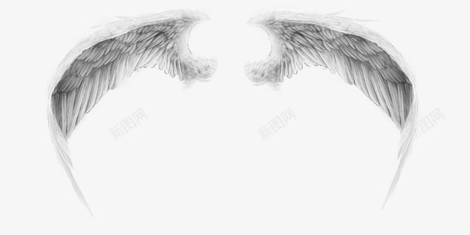 白色羽翼装饰图案png免抠素材_88icon https://88icon.com 图案 白色 羽翼 翅膀 装饰 飞翔