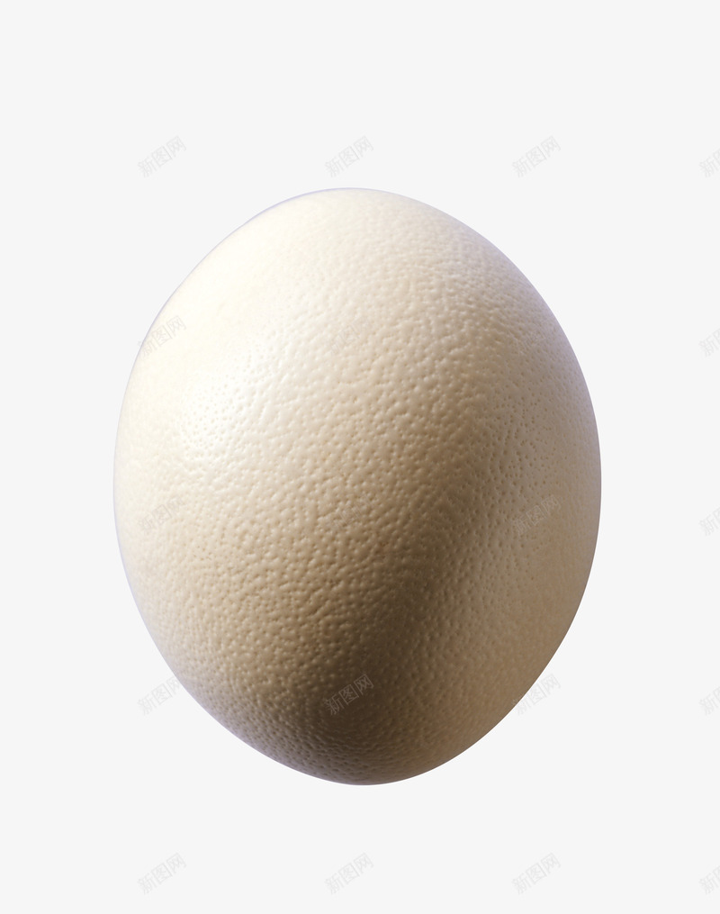 鸵鸟蛋摄影png免抠素材_88icon https://88icon.com 一个鸵鸟蛋 实物 新鲜鸵鸟蛋 生食 生鲜 蛋 食物 鸵鸟蛋 鸵鸟蛋摄影