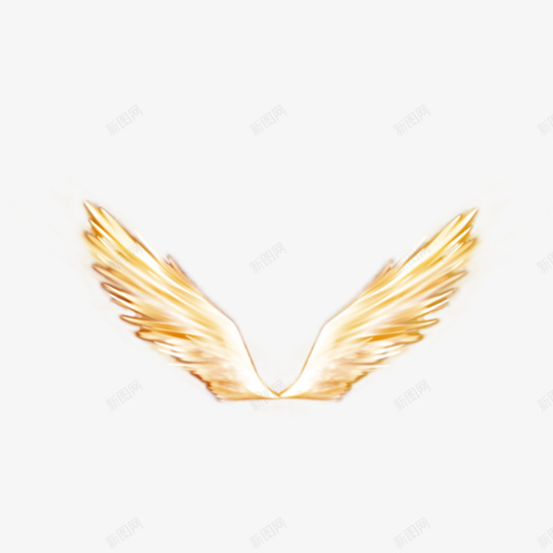 金色翅膀png免抠素材_88icon https://88icon.com 动物 手绘 翅膀 金色