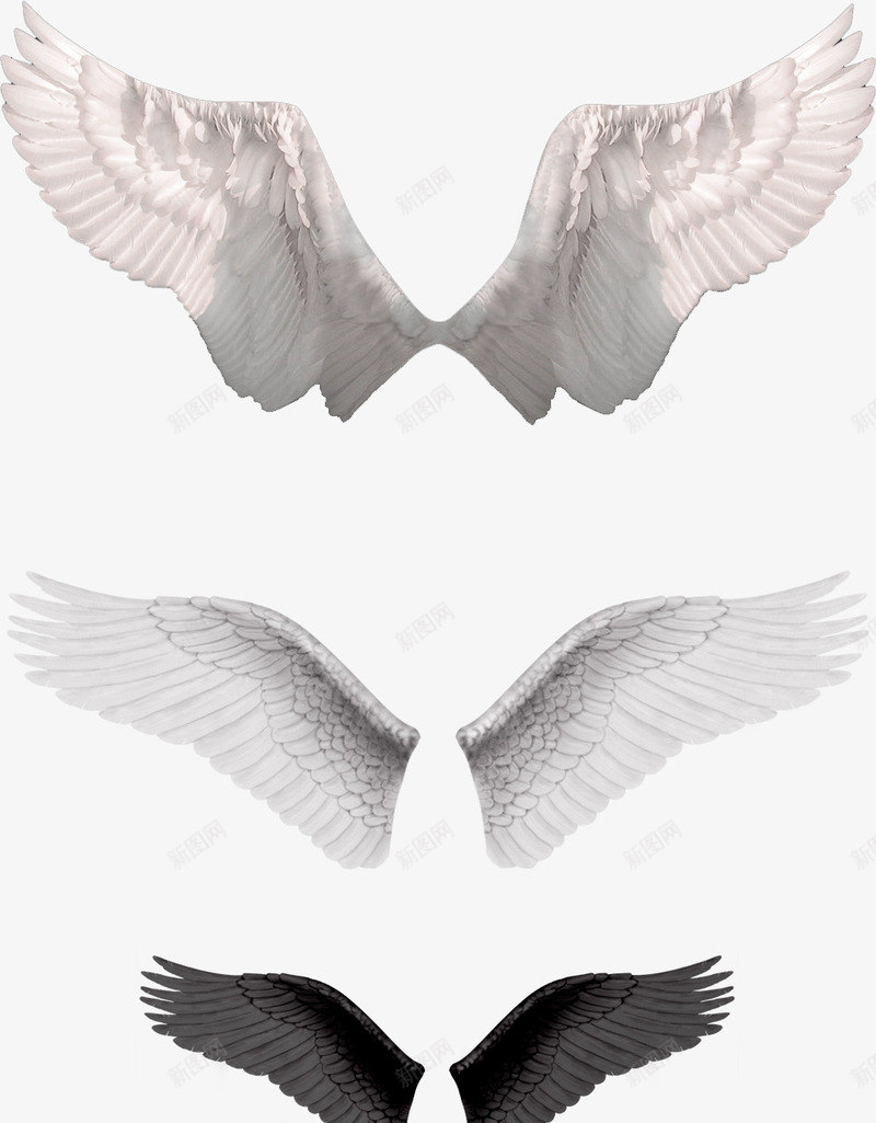 白色简约翅膀装饰图案png免抠素材_88icon https://88icon.com 免抠PNG 白色 简约 翅膀 装饰图案
