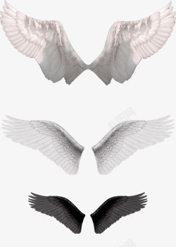 白色简约翅膀装饰图案素材