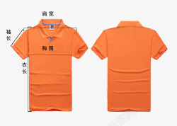 橙色T恤测量图素材