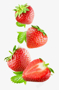 新鲜的红草莓素材
