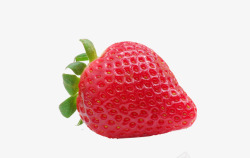 新鲜草莓一个素材