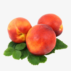 新鲜的水果桃子素材