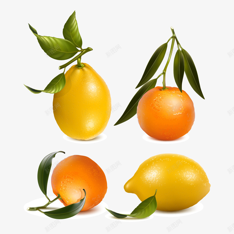 新鲜橙子和柠檬矢量图ai免抠素材_88icon https://88icon.com 手绘素材 柠檬 橙子 水果 食物 矢量图