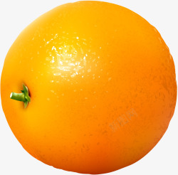 金橘柠檬新鲜金色橘子矢量图高清图片