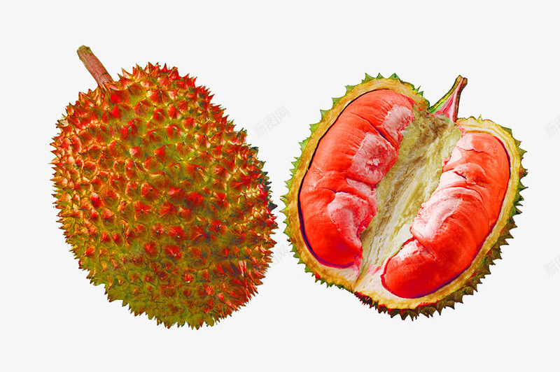 红肉榴莲片png免抠素材_88icon https://88icon.com 新鲜的红色榴莲 水果素材 美味的榴莲素材图片 营养丰富的榴莲