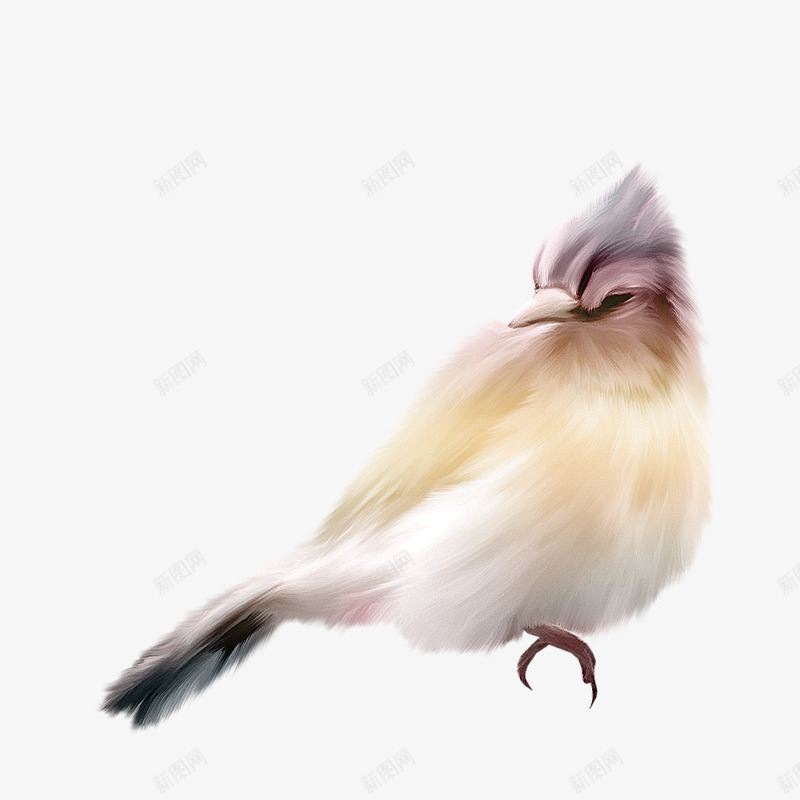 手绘鸟类png免抠素材_88icon https://88icon.com 动物 卡通 彩色 手绘鸟类 翅膀 鸟图案
