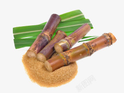 蔗糖与新鲜绿叶竹蔗素材
