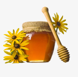 新鲜蜂蜜素材
