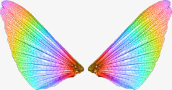 飞蛾翅膀透明背景素材