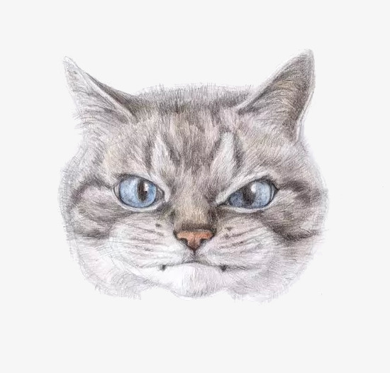 手绘猫咪png免抠素材_88icon https://88icon.com 手绘风格 漫画 点缀 猫咪 装饰