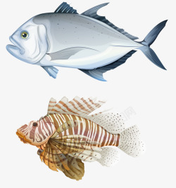 白鱼和飞鱼素材