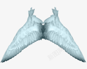 白色天使翅膀透明背景png免抠素材_88icon https://88icon.com PNG透明背景素材 天使翅膀 白色