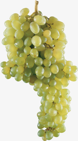 一串葡萄绿葡萄新鲜葡萄素材