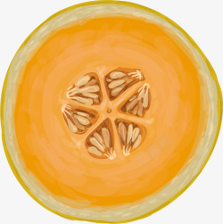 黄色香瓜手绘涂鸦对半切开的哈密瓜矢量图高清图片