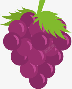葡萄水果卡通图案矢量图素材
