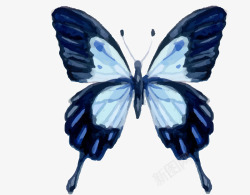 卡通手绘美丽的蝴蝶素材