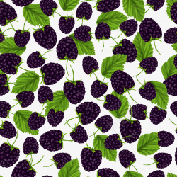 新鲜黑莓无缝背景素材