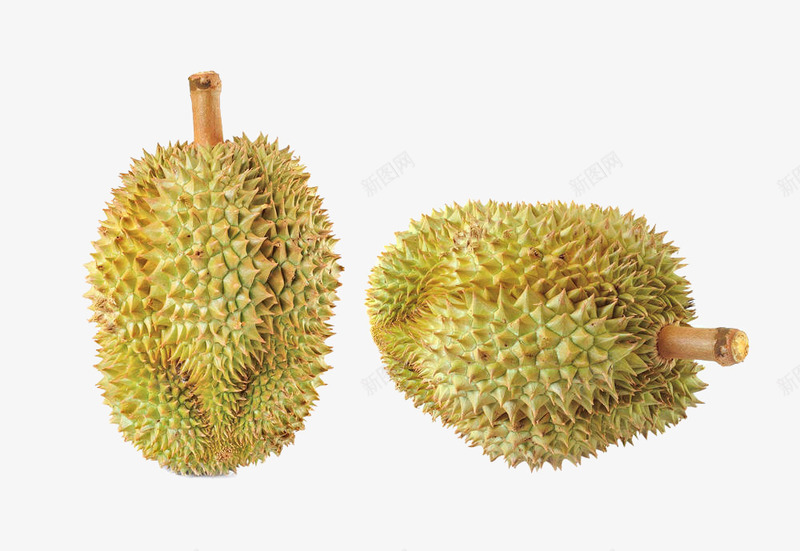 新鲜带皮榴莲摄影png免抠素材_88icon https://88icon.com 实物 异域风情 新鲜带皮榴莲摄影 榴莲 榴莲芒果 水果 泰国榴莲 进口榴莲