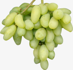 成熟特产葡萄水果素材
