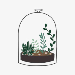 玻璃罩中的植物素材