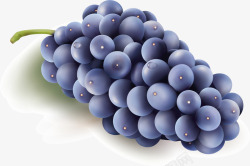 农副产品之新鲜葡萄素材