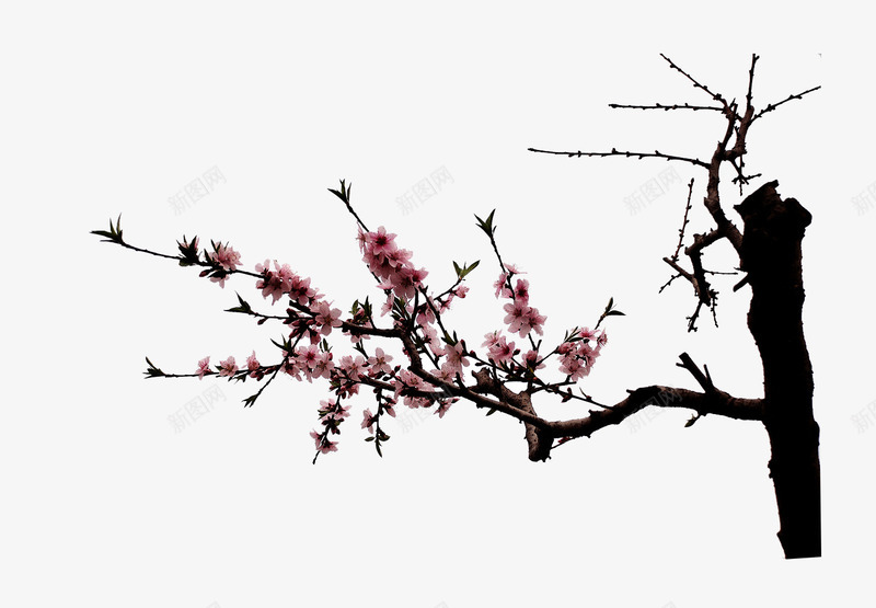 墨水画png免抠素材_88icon https://88icon.com 墨 墨水 墨水画 墨迹 黑色