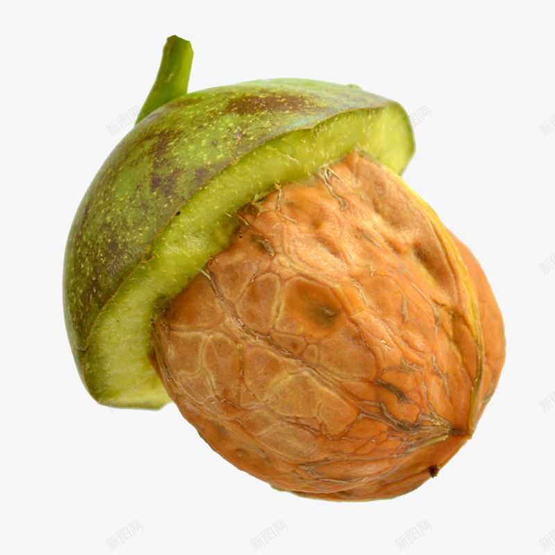 一半剥皮的青皮核桃png免抠素材_88icon https://88icon.com 一半鲜核桃 剥皮一半核桃 带皮核桃 新鲜核桃实物 青色核桃皮 鲜核桃