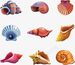 漂亮海螺漂亮的海螺矢量图高清图片