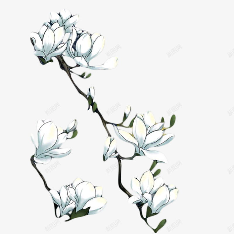白色的一串小花png免抠素材_88icon https://88icon.com 手绘 植物 白色 花