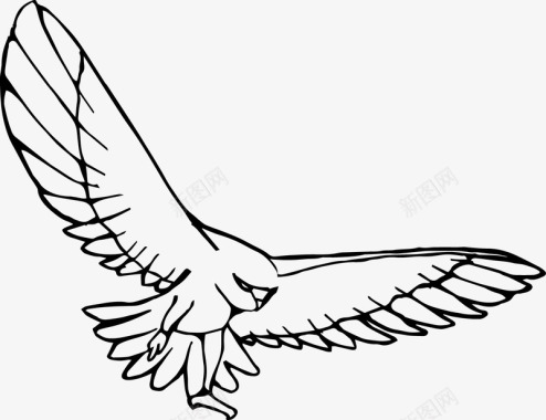 手绘感恩节装饰飞翔的鹰图标图标
