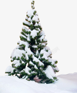 树上积着雪元素下雪的标志高清图片
