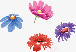4款彩绘清新的菊花矢量图素材