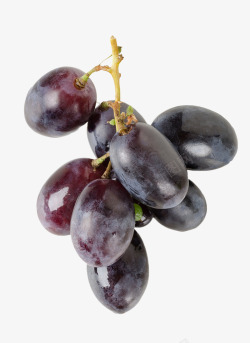 黑色新鲜水果葡萄素材