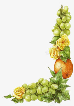 手绘葡萄柠檬边框植物素材