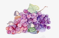 手绘紫色葡萄素材